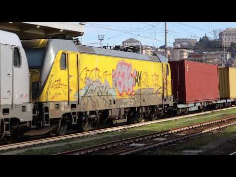 E494 DB- E494. MEDWAY  . CONTAINER MSC