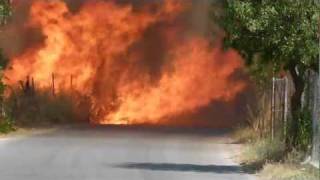 preview picture of video 'Long flames of bush fire drawn by strong wind jump over the road.'
