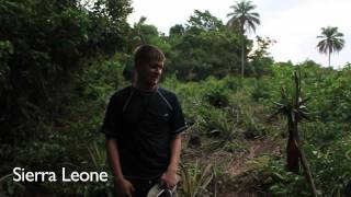 Do pineapples grow on trees? - Smarter Every Day 9