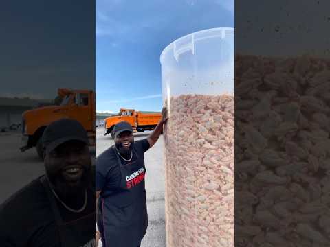 Dump Truck Fried Chicken Wings 😳🔥 | Extreme Cooking