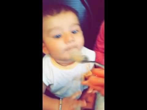 Baby sheesh enjoying ice cream