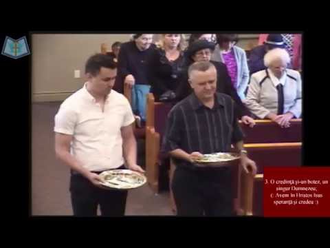 May 22 2016 AM Mihai Cabau - Cine Are Urechi Sa Auda