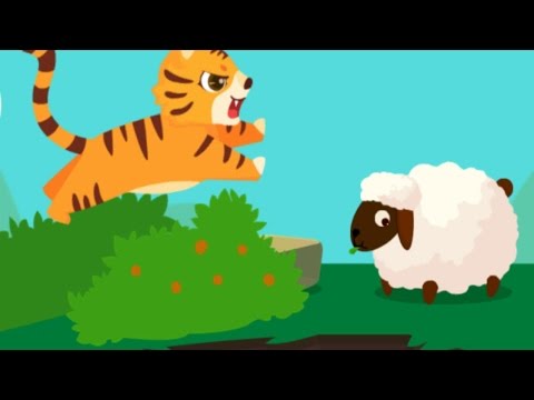 Baby Panda Learn Animal Traits | Friends Of The Forest | Babybus Kids Games | TwinkleStarsTV