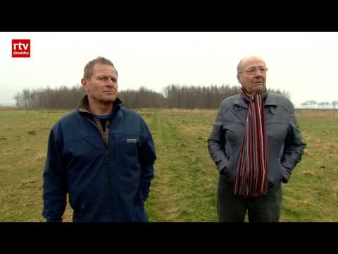 Dorpspark in Annerveenschekanaal