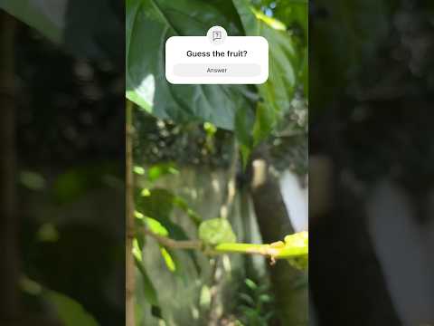 🤢 This fruit smells bad 🤮 But very Healthy 💚 | Starvation Fruit #fruit #shorts