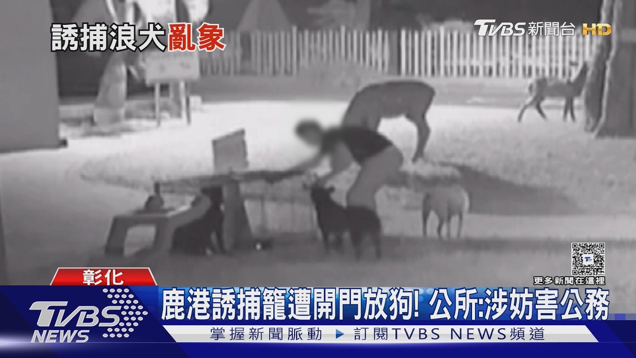 不忍心狗被關!民眾「開籠放狗」畫面曝 鹿港鎮公所:涉妨害公務