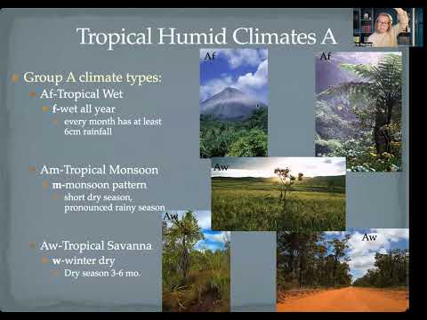 ZTC Physical Chapter 11 Climate Classifications
