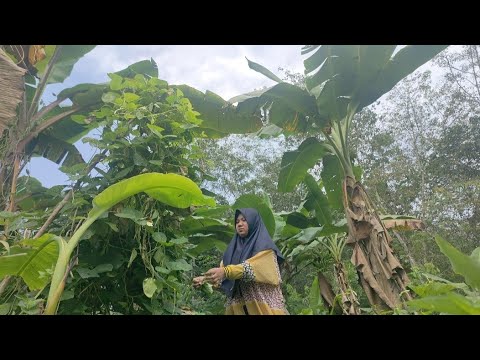 Sayur lembayung  enak, goreng ikan asin dan sambel cabe ijo #foodlover #lifeinvillage #cooking