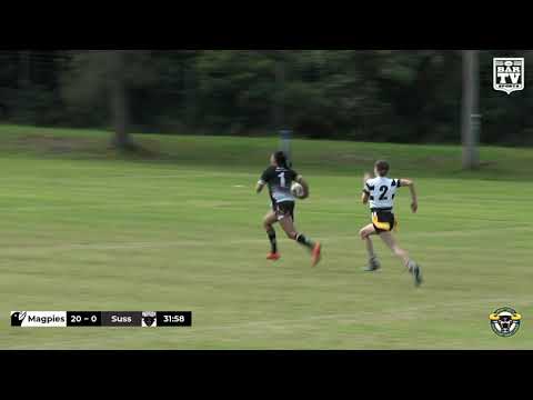 2019 Group 7 LLT Divison 2 Round 2 Highlights - Berry-Shoalhaven Heads Magpies vs Sussex Inlet
