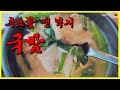 입짧은미식가 술 먹은 다음날은 역시 국밥만한게 없지 주모~ㅣgukbapㅣkorean soul foodㅣkorean foodㅣmukbang