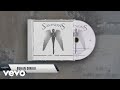 SAMSONS Bukan Diriku Official Lyric Video