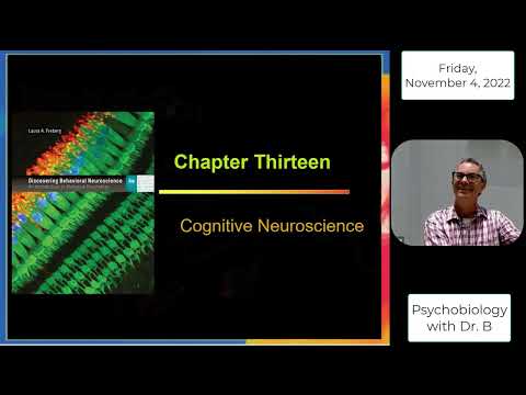 PSYC 2070 Chapter 13 Part 1 (Cognitive Neuroscience & Lateralization)