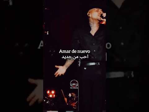 Rauw Alejandro - Amar de nuevo #مترجم #latinoletra #musica #music #lyrics