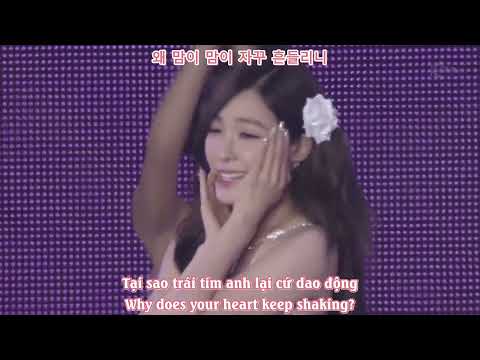 [Vietsub-Engsub]  Lion Heart - Girls' Generation SNSD (소녀시대)  (SMTown Live 2017 In Japan)