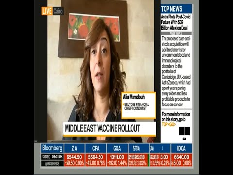 Alia Mamdouh Beltone Financial chief economist