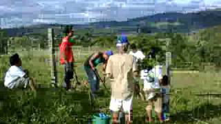 preview picture of video 'Community Development Tree Planting'