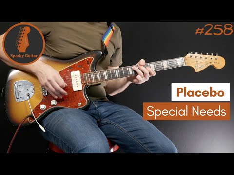 Special Needs - Placebo