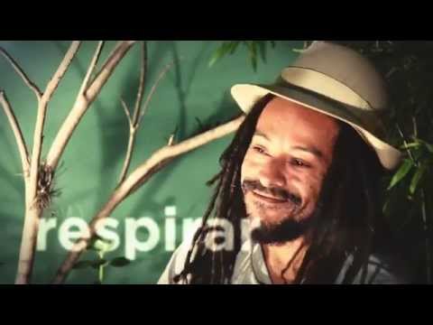 Quiero PelaGatos TV - Especial Pablo Molina (P.162)