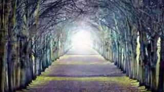 Schenk mit bitte eine nacht - Roy Black