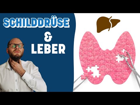 Wie die Leber die Schilddrüse beeinflusst