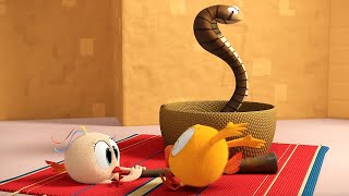 Snake charmer | Where's Chicky?  | Cartoon Collection in English for Kids | New episodes