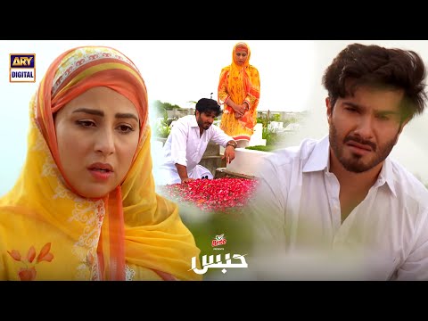 Habs Episode 17 | Feroze Khan | Ushna Shah | Emotional Scene