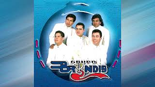 GRUPO BRYNDIS CORAZON VACIO