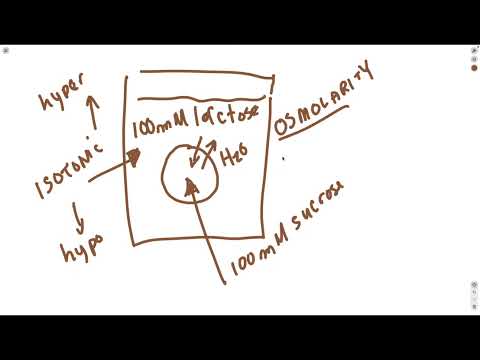 BIO105 Introductory Biology, Wed., Sept., 23rd, David Champlin, USM