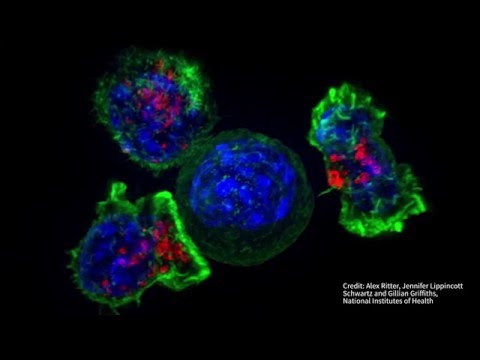 Stanford Course New Frontiers in Cancer Genomics