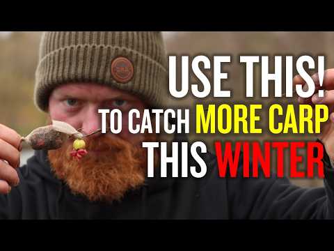 The Ultimate Guide To Winter Carp Fishing  | Bait Tips | Spod Mix | Stick Mix | Liquids | Maggots