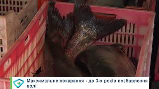 5 років харків’ян годували браконьєри