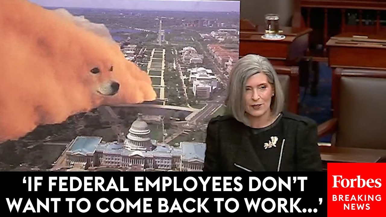 DOGE Caucus Founder Joni Ernst Announces Bills To 'Drain The Swamp' And Cut $2 Trillion In Spending