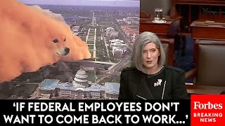 DOGE Caucus Founder Joni Ernst Announces Bills To 'Drain The Swamp' And Cut $2 Trillion In Spending