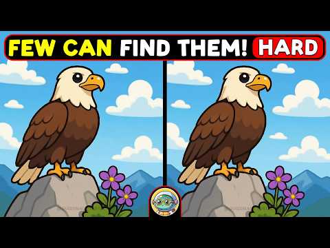 🐢🧩 Spot 3 Differences | Test Your Sharp Eyes 🧩🐢 | Quizonaut Turtle