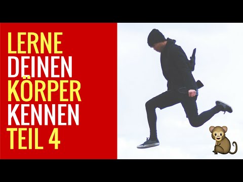 10 Wege Deine Sprungkraft zu erhöhen! - Lerne Deinen Körper kennen (Teil 4)