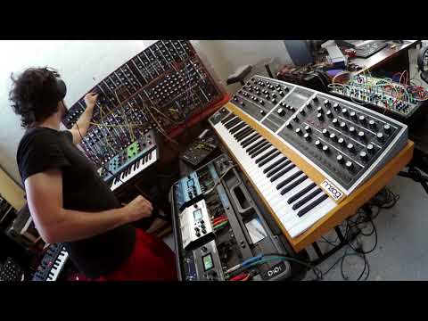 Moog One, Grandmother, System 55 and Digitakt - Second tune