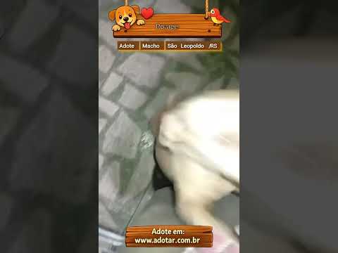 Vídeo de Romeu