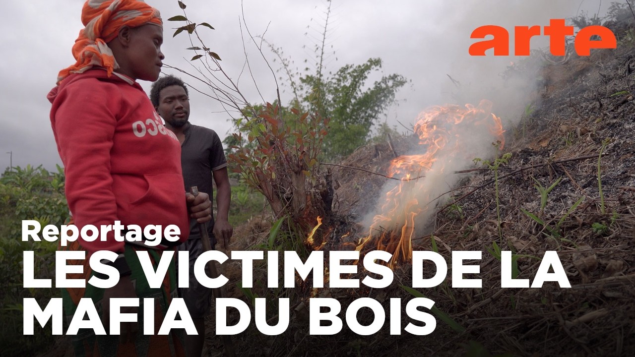 Madagascar : terre de feu | ARTE Reportage (2022)