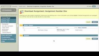 Blackboard 9: Download Student Assignments