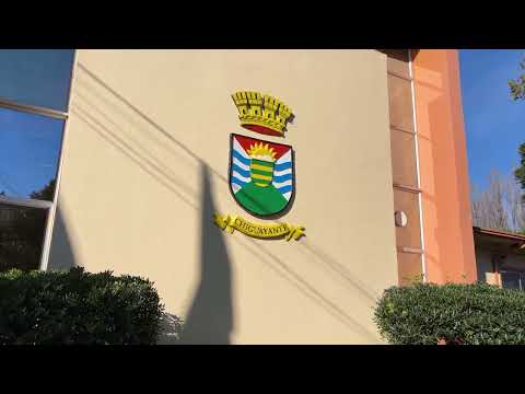 Concejo de Chiguayante aprueba ordenanza para retomar obras del paso a desnivel Santa Sofía