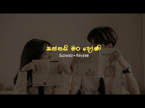 Saththai Man Doni| Shehara Sandaruwan | Slowed & Reverb song