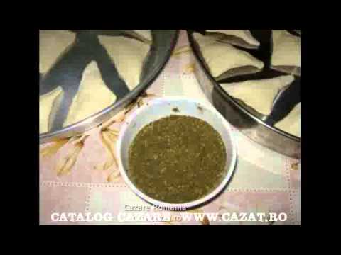 Cazare Tungujei, Iasi - Cazat.ro