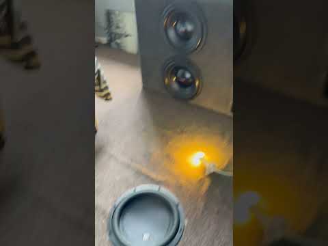 Playing 20 Hz on my 12” Subwoofers