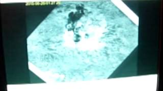 The &quot;Last Blast&quot;