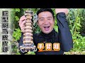 所罗门群岛 第5集 2天1夜荒岛探索 首次抓获巨型斑马皮皮虾 和会喷水的射水