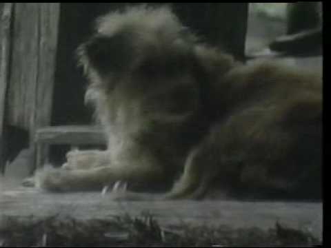 Trailer de Benji, Zax e o Príncipe Alienígena (1983)