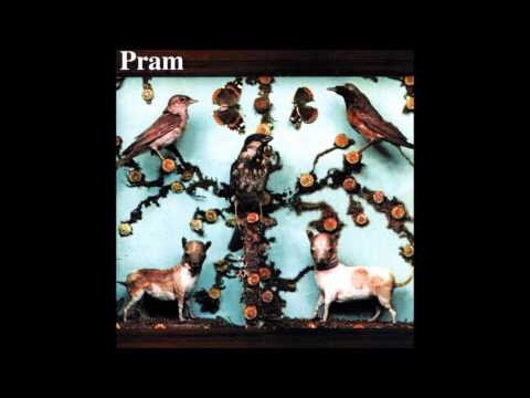 Pram - Mother of Pearl