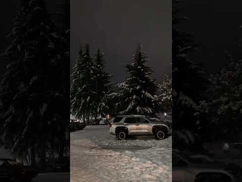 Noche mágica de nieve de Villa La Angostura ❄️ #nieve #villalaangostura #patagonia #invierno #fyp
