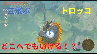 【ゼルダの伝説 BotW】トロッコで空を飛ぶ技 サイハテノ島の果てまで行ってみた