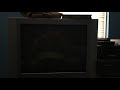 Opening To Gorillas In The Mist The Adventures Of Dian Fossey 1989 Vhs